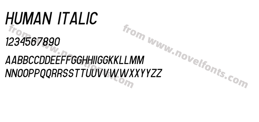 Human ItalicPreview