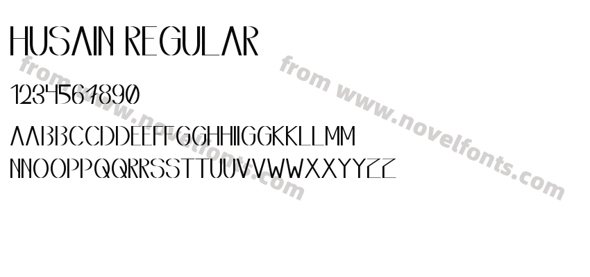 Husain RegularPreview
