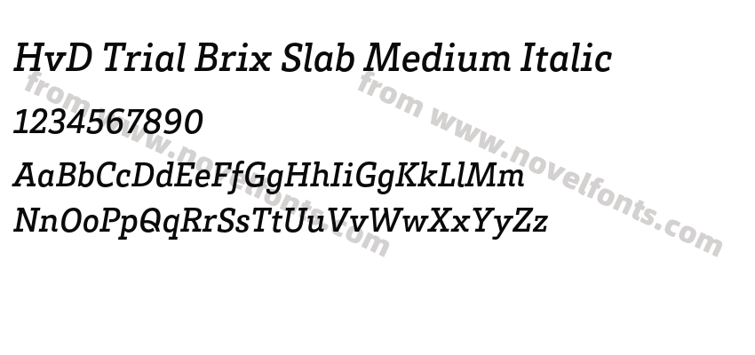 HvD Trial Brix Slab Medium ItalicPreview