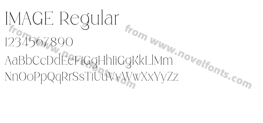 IMAGE RegularPreview