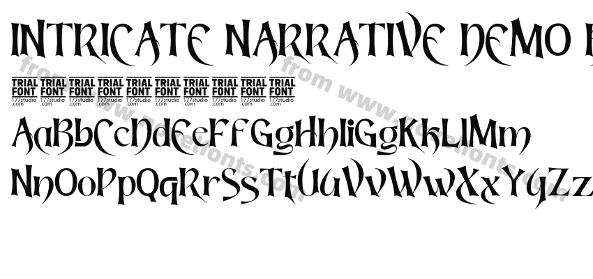 INTRICATE NARRATIVE DEMO BoldPreview