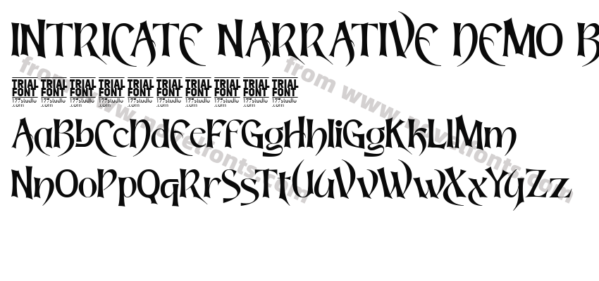 INTRICATE NARRATIVE DEMO BoldPreview