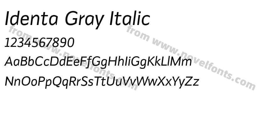 Identa Gray ItalicPreview