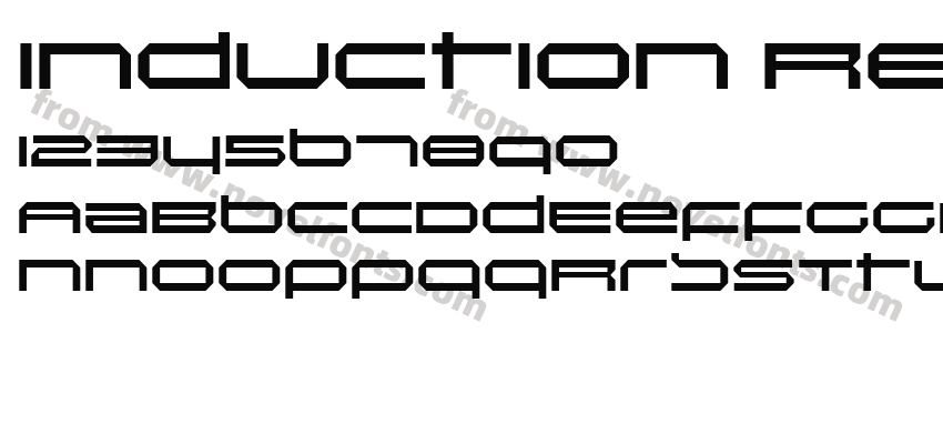 Induction RegularPreview