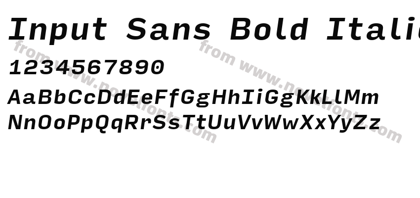Input Sans Bold ItalicPreview