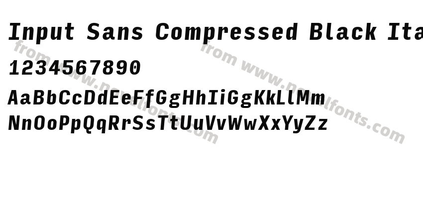Input Sans Compressed Black ItalicPreview