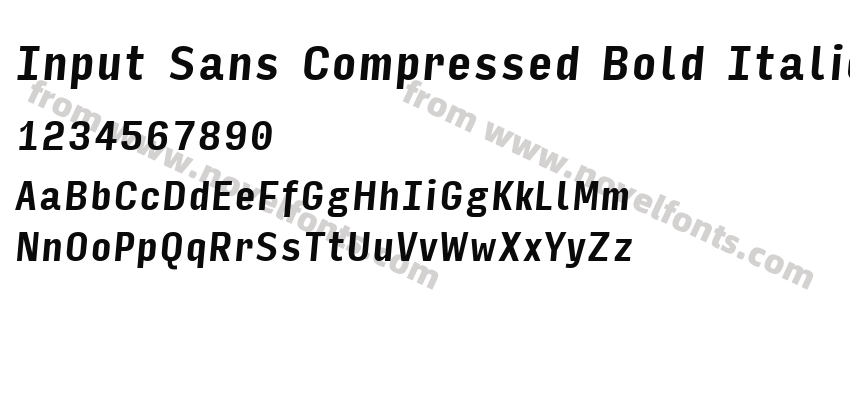 Input Sans Compressed Bold ItalicPreview