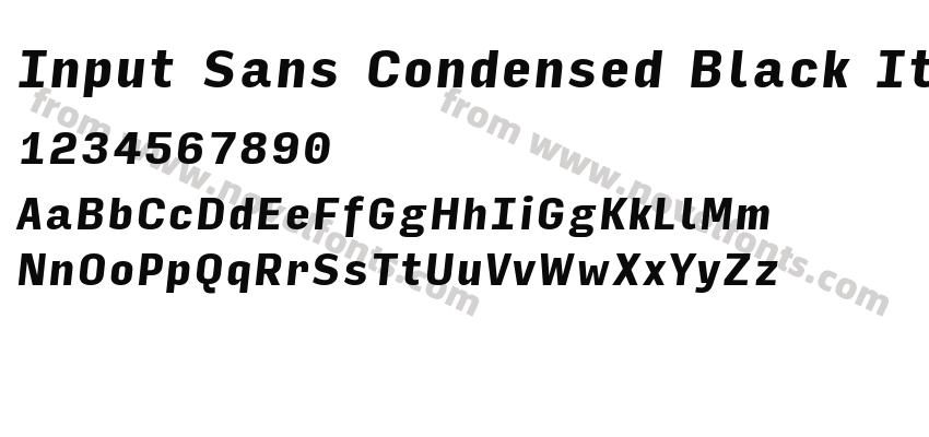 Input Sans Condensed Black ItalicPreview