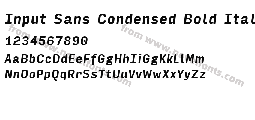 Input Sans Condensed Bold ItalicPreview