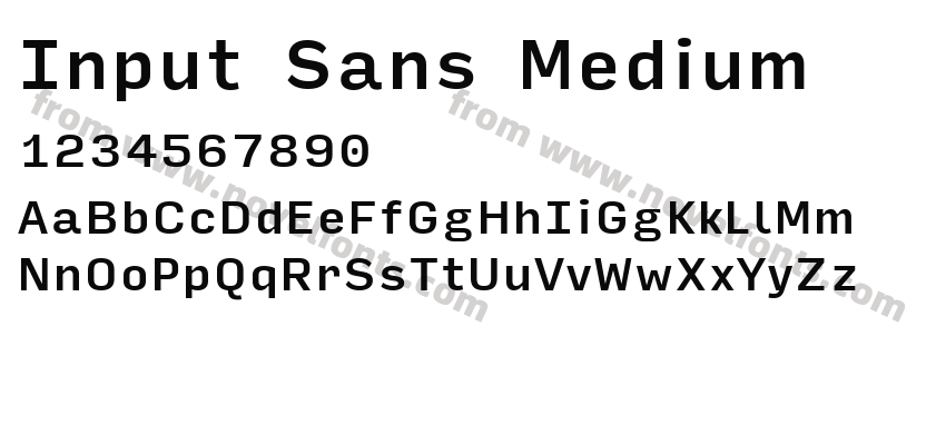 Input Sans MediumPreview