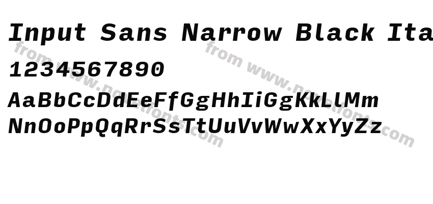 Input Sans Narrow Black ItalicPreview