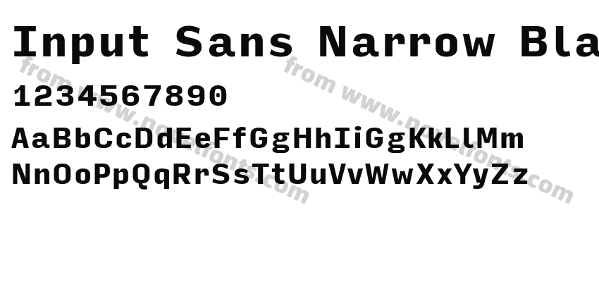 Input Sans Narrow BlackPreview