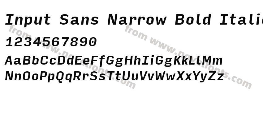 Input Sans Narrow Bold ItalicPreview