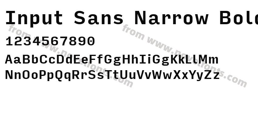Input Sans Narrow BoldPreview