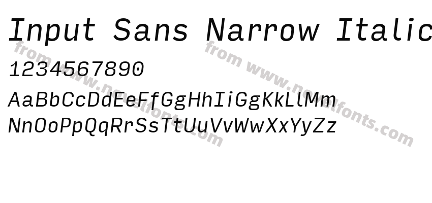 Input Sans Narrow ItalicPreview