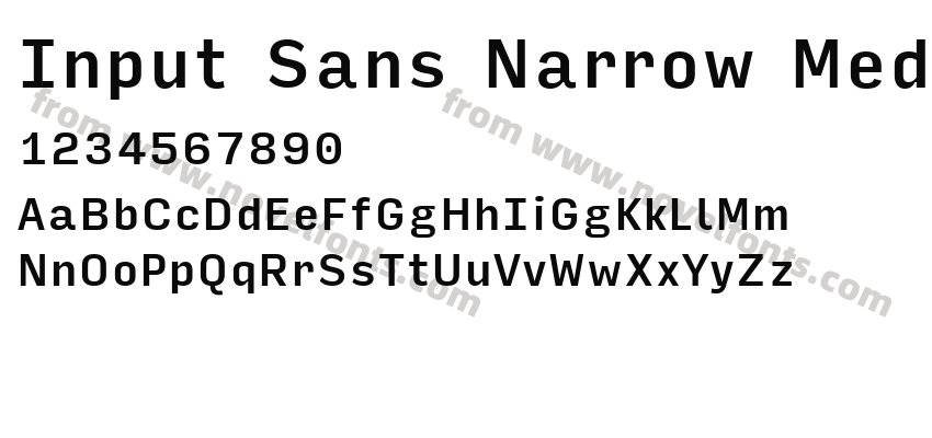 Input Sans Narrow MediumPreview