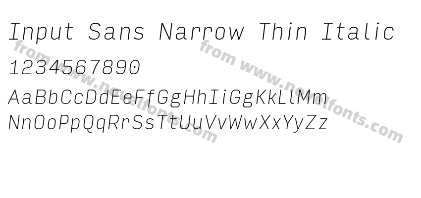 Input Sans Narrow Thin ItalicPreview