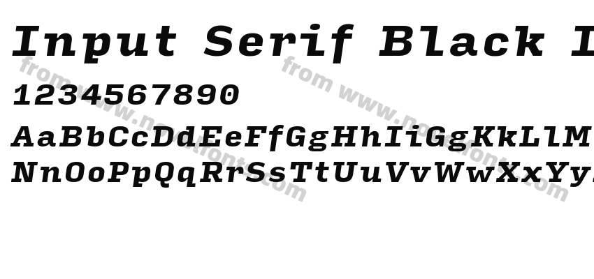 Input Serif Black ItalicPreview