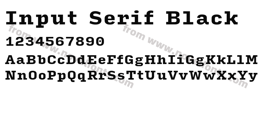 Input Serif BlackPreview