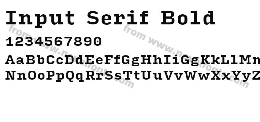 Input Serif BoldPreview
