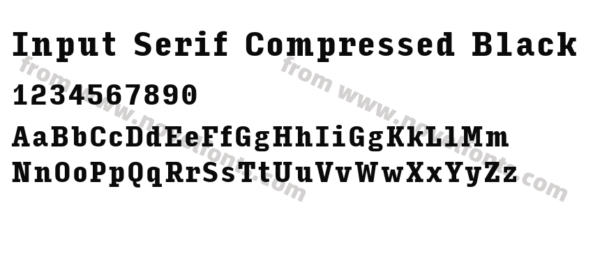 Input Serif Compressed BlackPreview