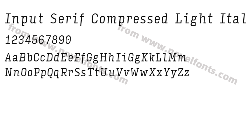 Input Serif Compressed Light ItalicPreview