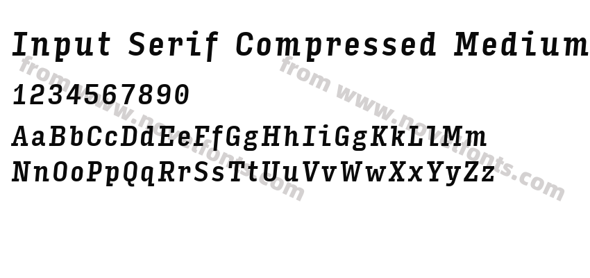 Input Serif Compressed Medium ItalicPreview