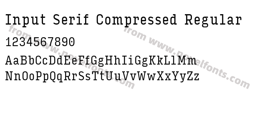 Input Serif Compressed RegularPreview
