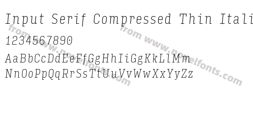 Input Serif Compressed Thin ItalicPreview