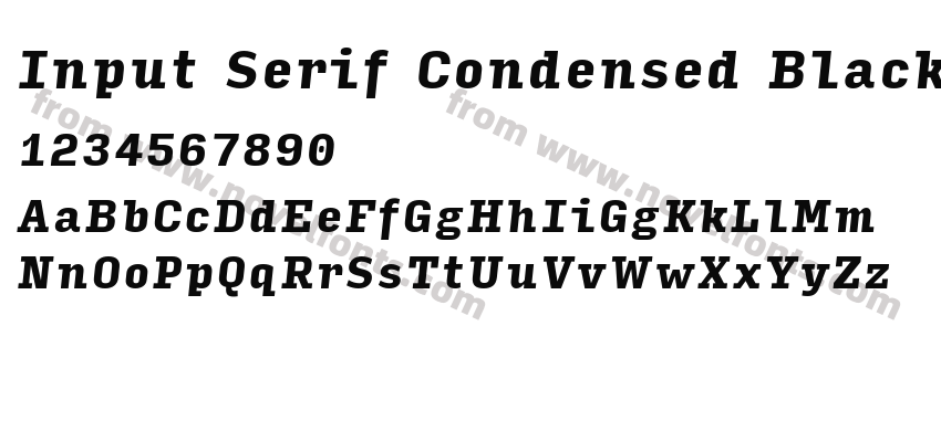 Input Serif Condensed Black ItalicPreview