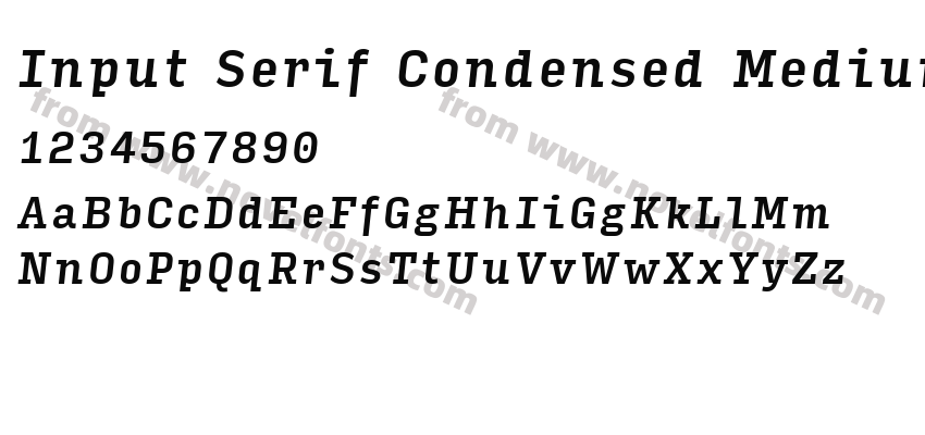 Input Serif Condensed Medium ItalicPreview