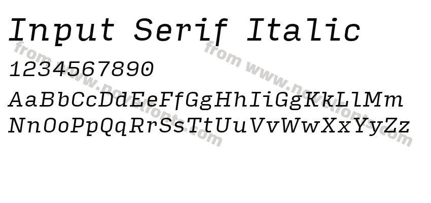 Input Serif ItalicPreview