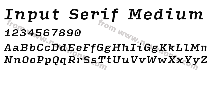 Input Serif Medium ItalicPreview