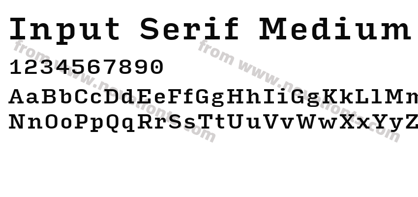 Input Serif MediumPreview