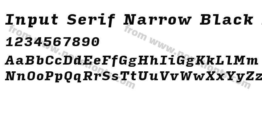 Input Serif Narrow Black ItalicPreview
