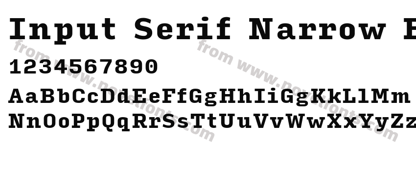 Input Serif Narrow BlackPreview