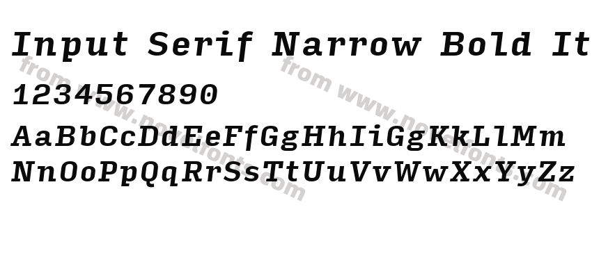Input Serif Narrow Bold ItalicPreview