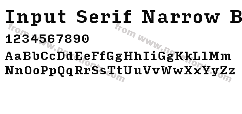 Input Serif Narrow BoldPreview