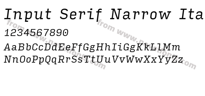 Input Serif Narrow ItalicPreview