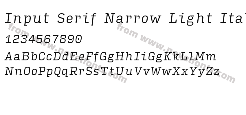 Input Serif Narrow Light ItalicPreview