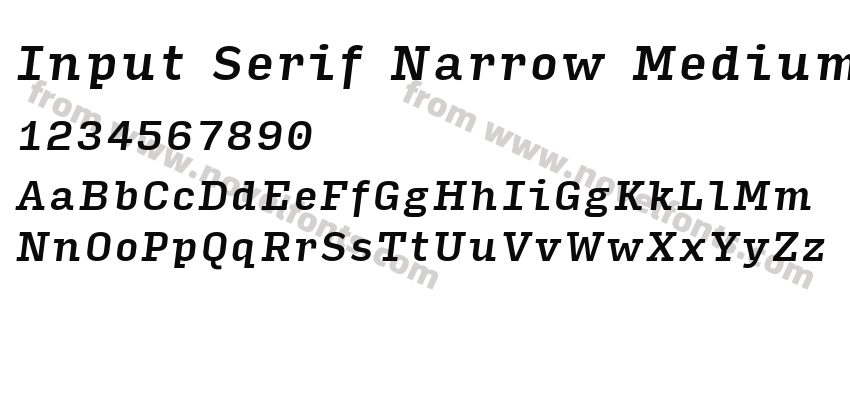 Input Serif Narrow Medium ItalicPreview