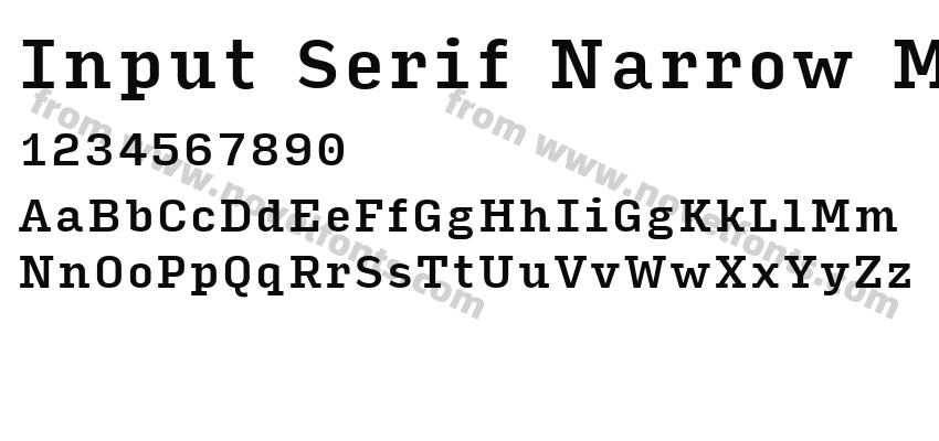 Input Serif Narrow MediumPreview