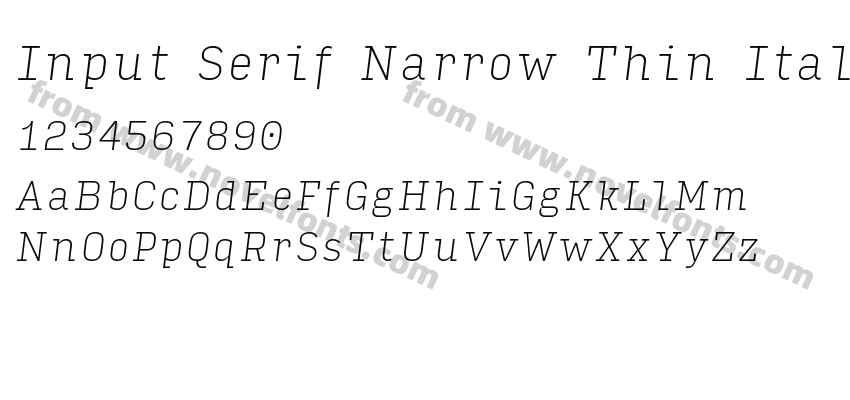 Input Serif Narrow Thin ItalicPreview