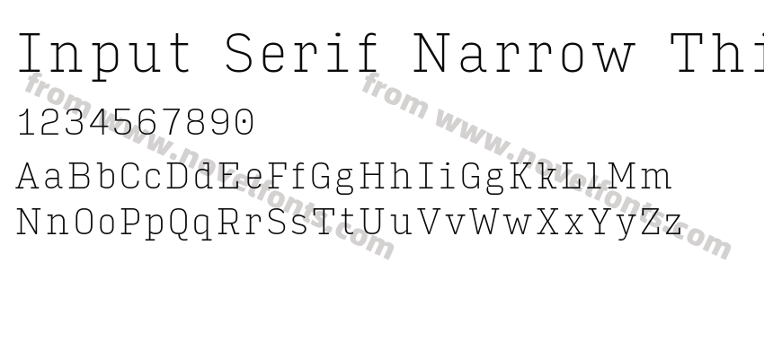 Input Serif Narrow ThinPreview