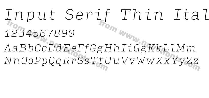 Input Serif Thin ItalicPreview