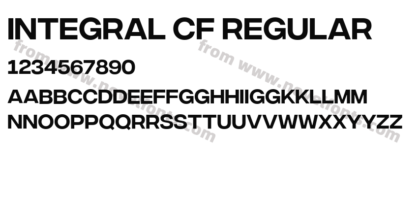 Integral CF RegularPreview