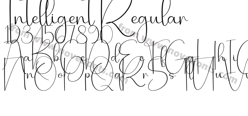 Intelligent RegularPreview