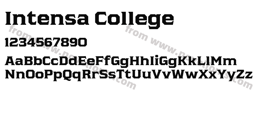 Intensa CollegePreview