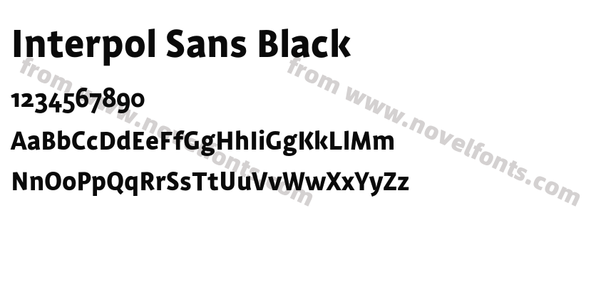 Interpol Sans BlackPreview