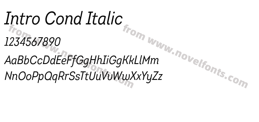 Intro Cond ItalicPreview